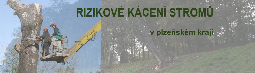 NEJLEPŠÍ PAŽITY, s.r.o.